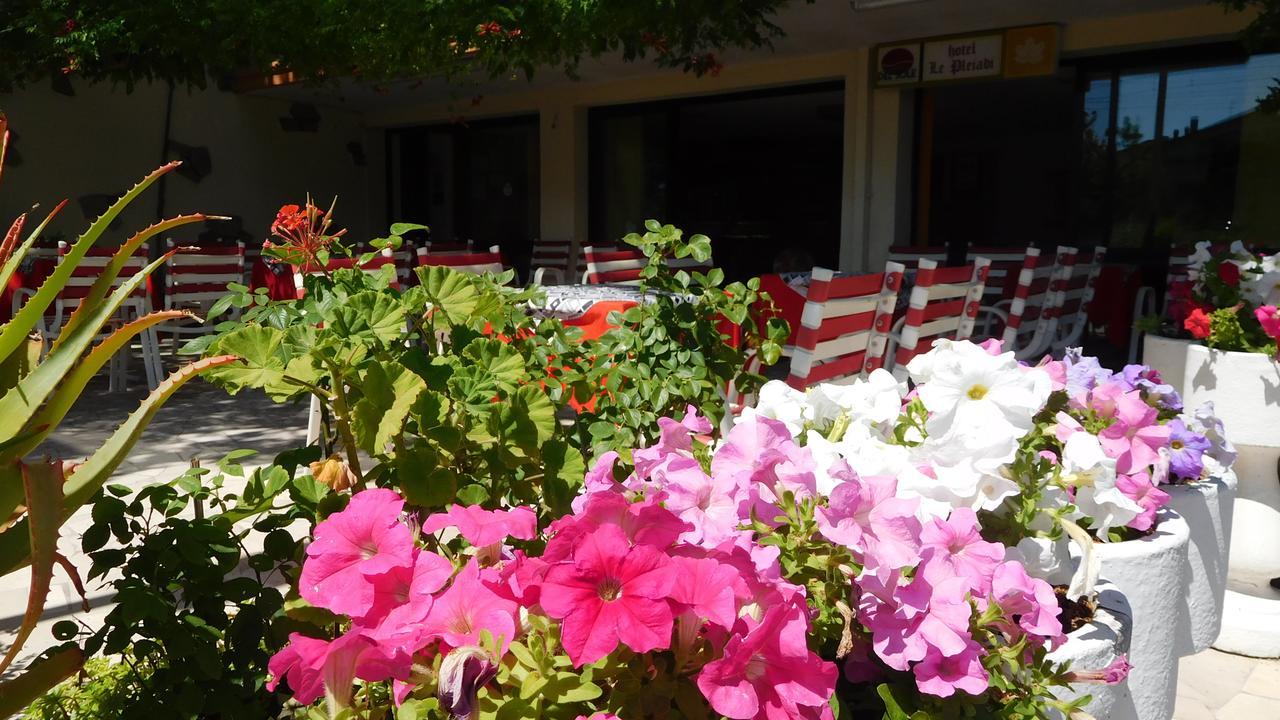 Hotel Le Pleiadi Bellaria-Igea Marina Zewnętrze zdjęcie