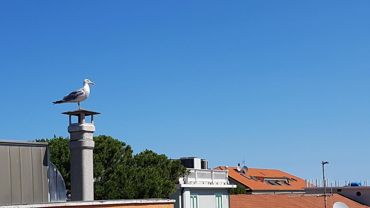 Hotel Le Pleiadi Bellaria-Igea Marina Zewnętrze zdjęcie